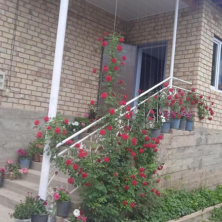 Guest House Kyzyl Alma Arkit Exterior foto